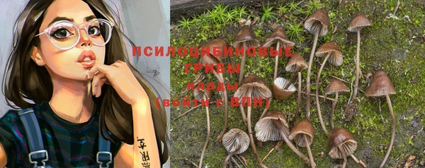 гидропоника Покровск