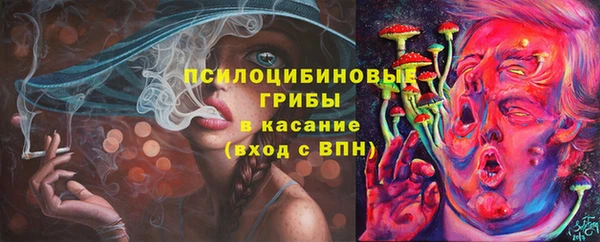 гидропоника Покровск