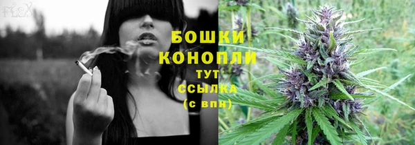 PSILOCYBIN Губаха