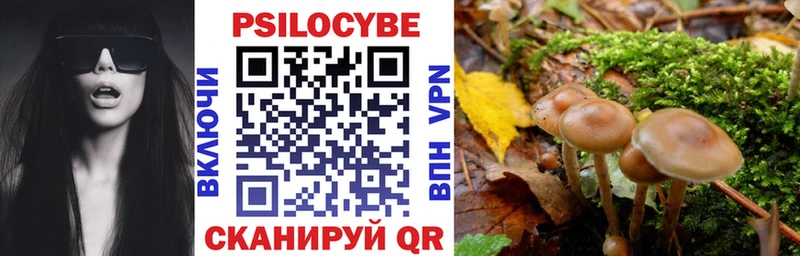 blacksprut как войти  Белёв  Псилоцибиновые грибы Psilocybe 