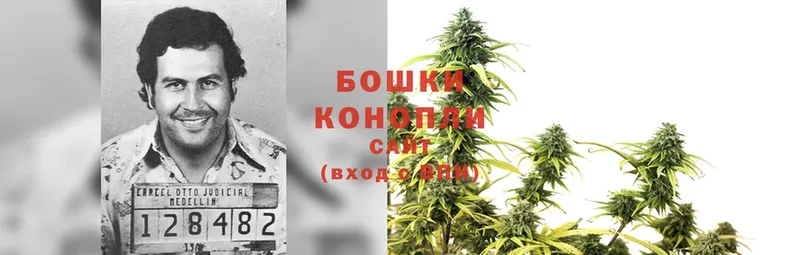 Каннабис THC 21%  Белёв 